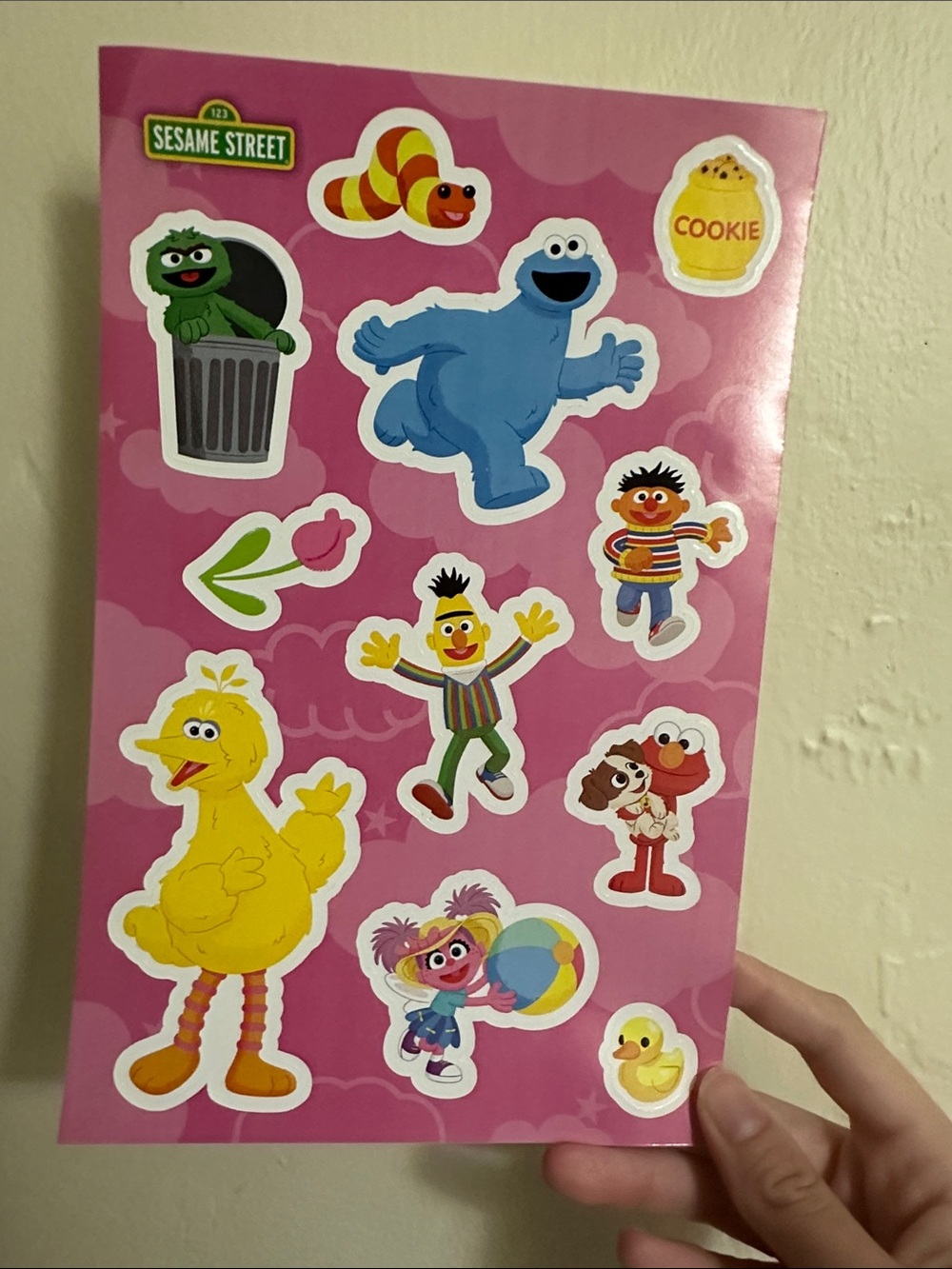 Sesame Street Sticker Sheet - Pink with Yellow, Blue, Green, Red